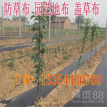 優(yōu)質(zhì)高強度塑編布防草布 UV抗老化與耐腐蝕性能全解析