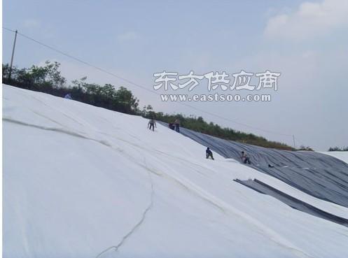 探秘寧波鉅晟塑料編織布生產(chǎn)廠家 品質(zhì)塑編布的匠心制造